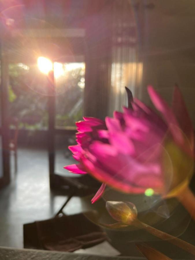 Villa A & A ヒッカドゥワ エクステリア 写真